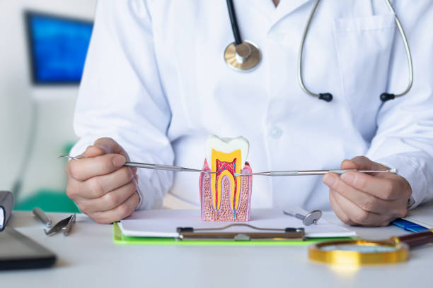 Best Dental Abscess Treatment in Flourtown, PA